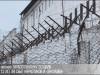 Тираспольчанка получила 12 лет за «закладки»