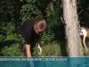 Благоустройство и озеленение в столичном дендропарке