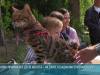 Дефиле в костюмах и «Минута славы»: в Бендерах готовятся к выставке животных