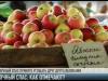 Яблочный спас: курс на Преображение