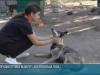 В Приднестровье стартовал конкурс «Доброволец года»