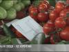 Рынок перед Пасхой: что почём?