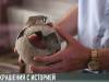 Находки археологов: скоро в Екатерининском парке
