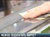 Где живут вирусы? Меры безопасности