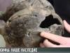 Скифы: историческое наследие