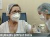 Вакцинация от «короны»: цифры и факты