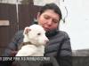В поисках дома. История щенков из приюта в Бендерах