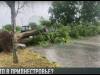 Одесская погода дойдет до Приднестровья?