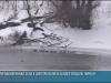 На берегу Днестра создадут орнитологический заповедник