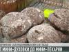 От мини-духовки до мини-пекарни за 5 лет