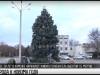 Новогодние елки по всей стране