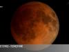 В тени Земли: «цветочная» Луна и затмение