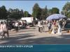«Покупай Приднестровское!»: ярмарки в Тирасполе и Слободзее