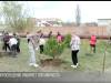 День эколога и помощь волонтеров