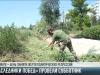 «Наследники Побед» провели субботник