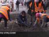 Розы из Каменки для Бендер и Тирасполя