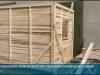 Сон с пчёлами: новая зона отдыха появится в Кицканском лесничестве