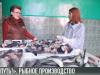 Рыбный туризм. «В путь!» на «Риллу»
