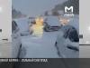 В Африке выпал снег: львы, жирафы и зебры гуляют по сугробам