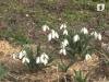 Программа "Утренний кофе" - 22/03/13