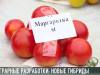 Аграрные разработки: вкусные гибриды