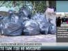 Активисты «Обновления» провели эко-акцию