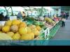 Ярмарки и рынки: где купить свежие фрукты и овощи